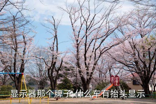 显示器那个牌子,什么车有抬头显示