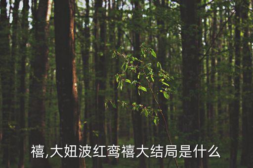红鸾禧,大妞波红鸾禧大结局是什么?