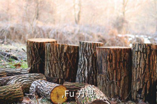 方思,Fu 方思