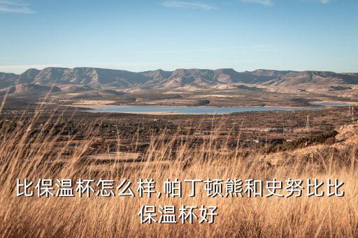 史努比保温杯怎么样,帕丁顿熊和史努比比保温杯好