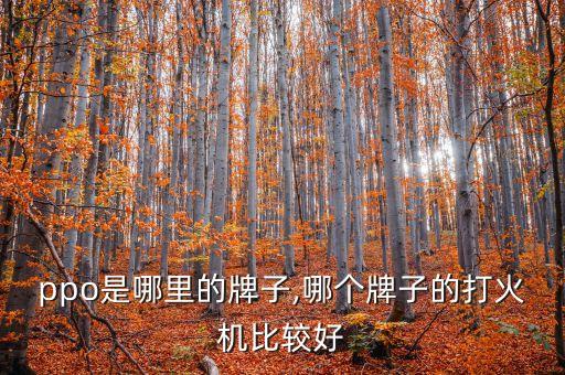 ppo是哪里的牌子,哪个牌子的打火机比较好