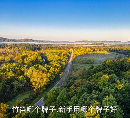 竹笛哪个牌子,新手用哪个牌子好