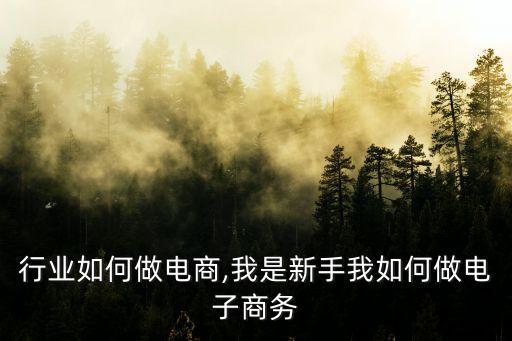行业如何做电商,我是新手我如何做电子商务