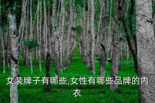 女装牌子有哪些,女性有哪些品牌的内衣