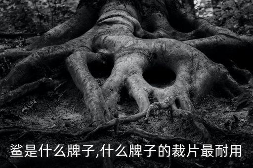 大白鲨是什么牌子,什么牌子的裁片最耐用?