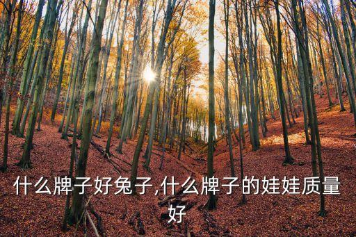 公仔什么牌子好兔子,什么牌子的娃娃质量好?