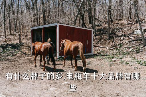 有什么牌子的多,电瓶车十大品牌有哪些