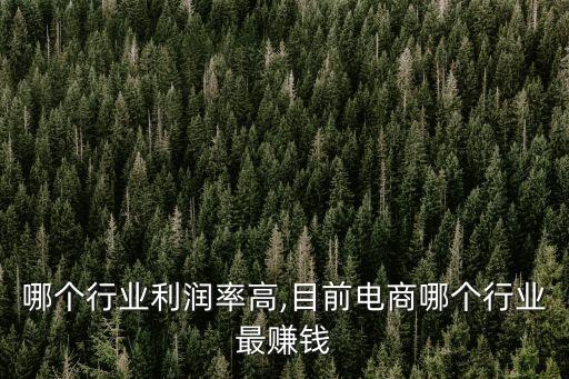 电商哪个行业利润率高,目前电商哪个行业最赚钱?