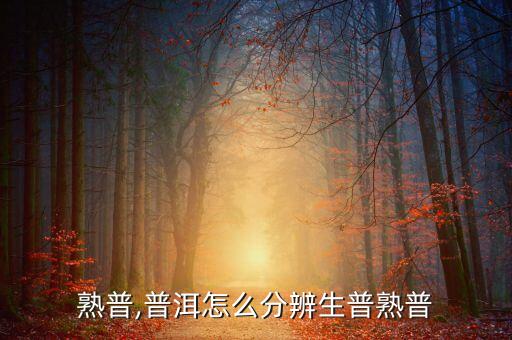 生普熟普,普洱怎么分辨生普熟普