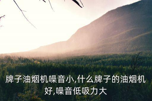 牌子油烟机噪音小,什么牌子的油烟机好,噪音低吸力大