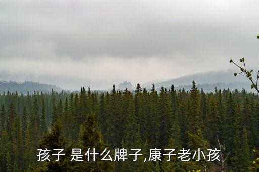 康 孩子 是什么牌子,康子老小孩
