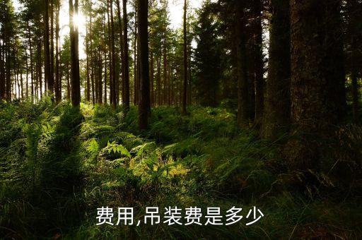 吊车费用,吊装费是多少?
