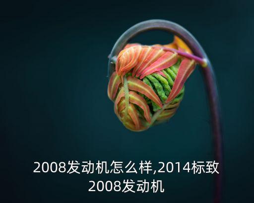 标致2008发动机怎么样,2014标致2008发动机