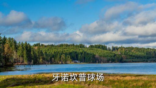 牙诺坎普球场