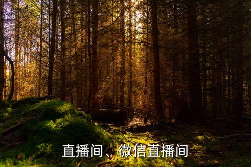 直播间、微信直播间