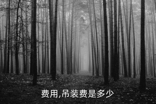 费用,吊装费是多少