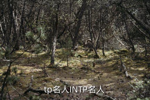 intp名人INTP名人