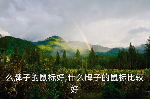 买什么牌子的鼠标好,什么牌子的鼠标比较好?