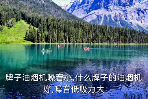 牌子油烟机噪音小,什么牌子的油烟机好,噪音低吸力大