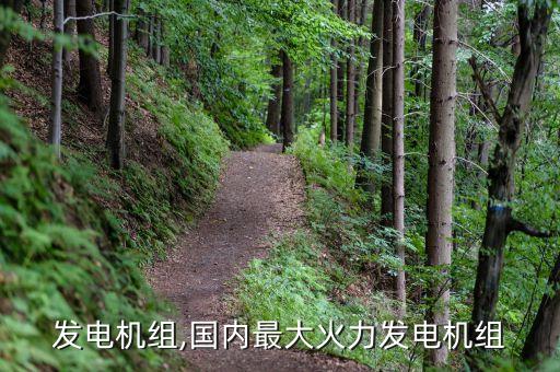 火力发电机组,国内最大火力发电机组