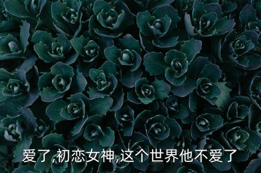 爱了,初恋女神,这个世界他不爱了