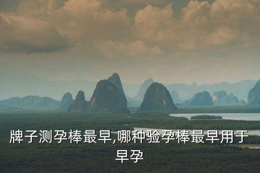 什么牌子测孕棒最早,哪种验孕棒最早用于早孕?