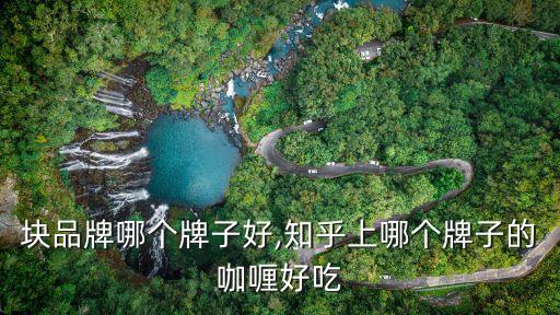 咖喱块品牌哪个牌子好,知乎上哪个牌子的咖喱好吃?