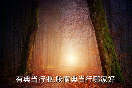胶州有典当行业,胶南典当行哪家好?