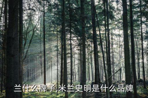 兰什么牌子,米兰史明是什么品牌