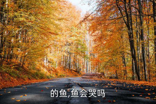 流泪的鱼,鱼会哭吗?