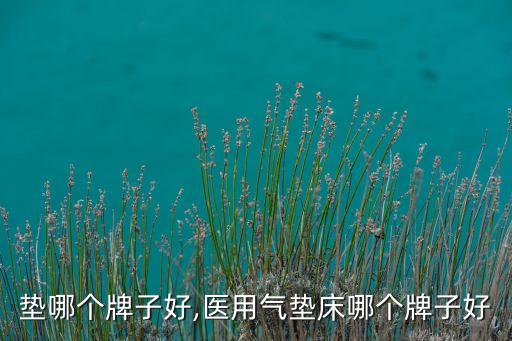 垫哪个牌子好,医用气垫床哪个牌子好