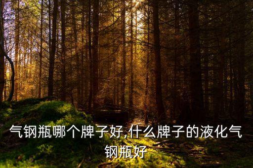 液化气钢瓶哪个牌子好,什么牌子的液化气钢瓶好?