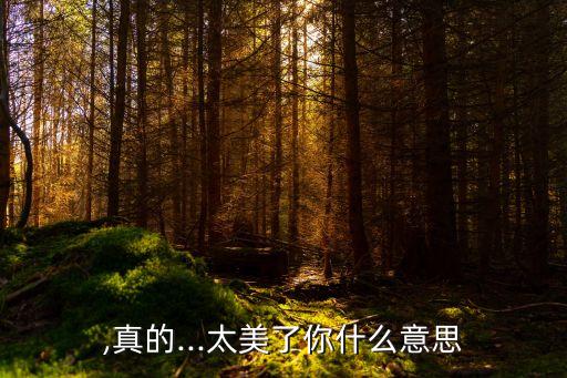 真亮,真的...太美了你什么意思?