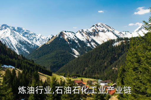 炼油行业,石油石化工业产业链