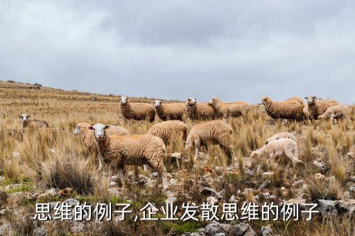 思维的例子,企业发散思维的例子