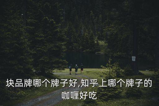 块品牌哪个牌子好,知乎上哪个牌子的咖喱好吃