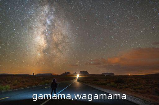 Wagamama,wagamama