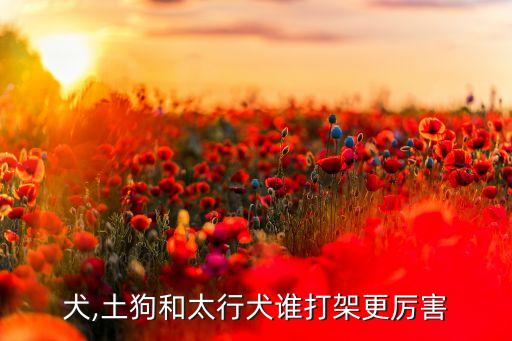 太行犬,土狗和太行犬谁打架更厉害?