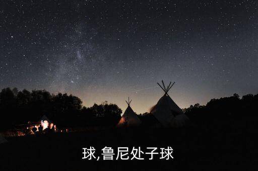 处子球,鲁尼处子球