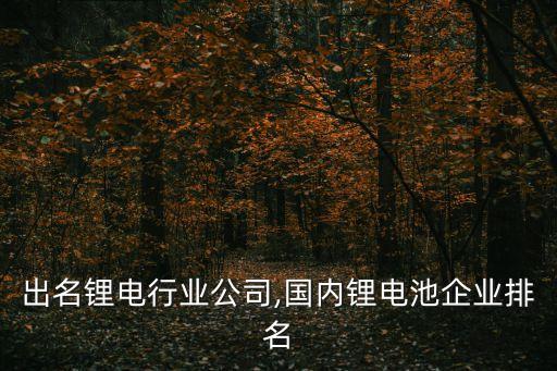 全国出名锂电行业公司,国内锂电池企业排名