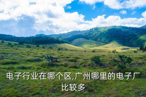 电子行业在哪个区,广州哪里的电子厂比较多