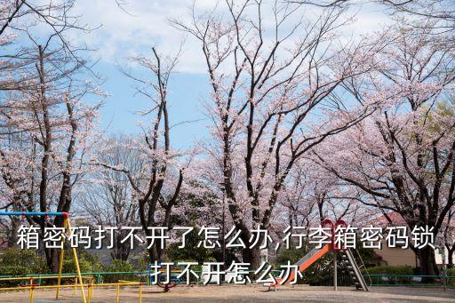 行李箱密码打不开了怎么办,行李箱密码锁打不开怎么办?