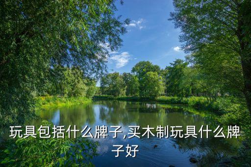 玩具包括什么牌子,买木制玩具什么牌子好