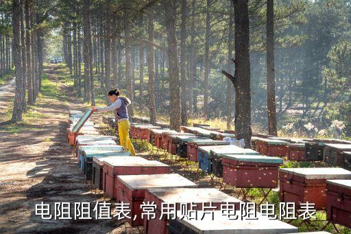 标准电阻阻值表,常用贴片电阻电阻表