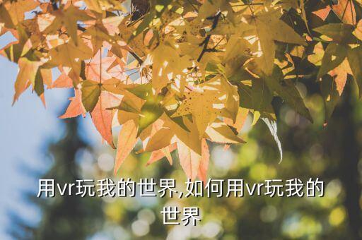 怎么用vr玩我的世界,如何用vr玩我的世界