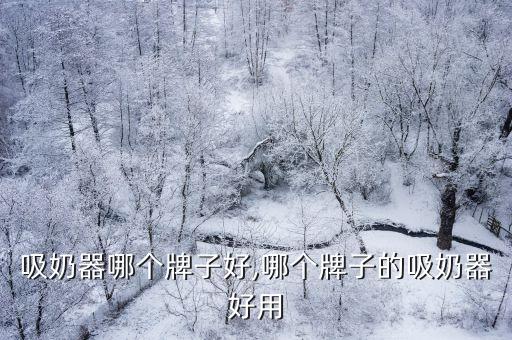 手动吸奶器哪个牌子好,哪个牌子的吸奶器好用?