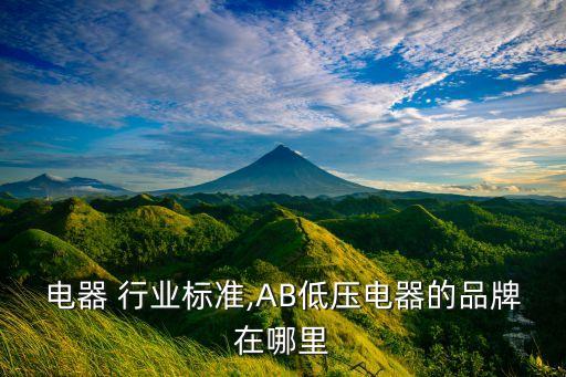 低压电器 行业标准,AB低压电器的品牌在哪里?