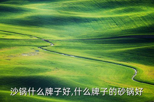 电炖沙锅什么牌子好,什么牌子的砂锅好?