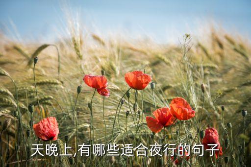 有一天晚上,有哪些适合夜行的句子?