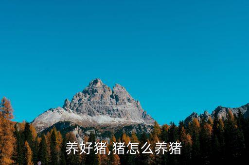 怎么养好猪,猪怎么养猪